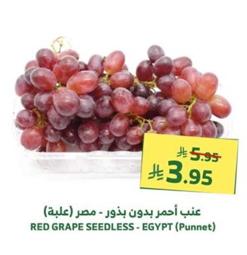 Fresh Fruits in Al Raya, Saudi Arabia Offers - Saudi Arabia Grapes from Egypt available at Al Raya in KSA, Saudi Arabia, Saudi - Al Qunfudhah