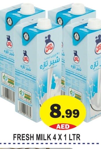 Fresh Milk available at GIFT MART- Ajman in UAE - Sharjah / Ajman
