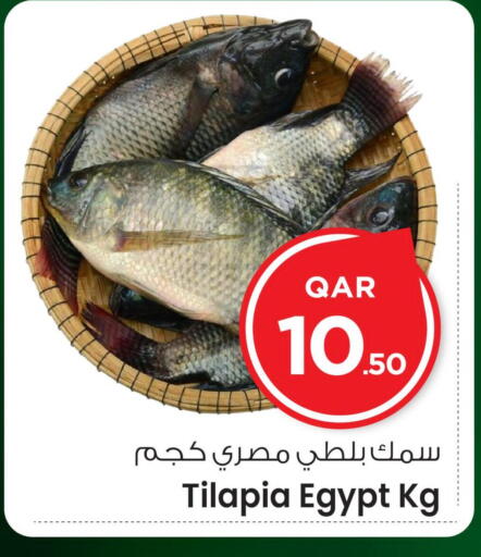 available at مارك & سيف in قطر - الشمال