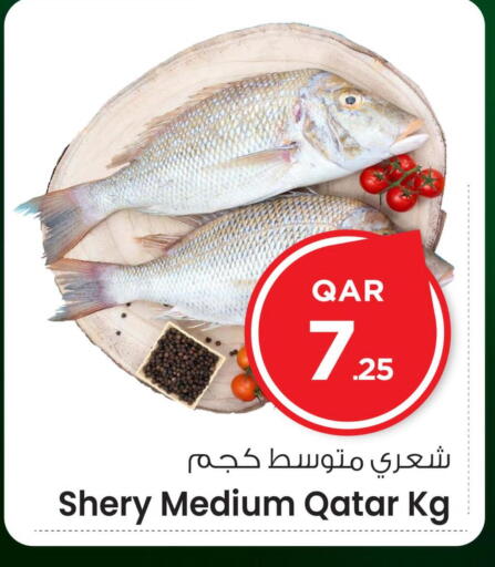available at مارك & سيف in قطر - الشمال