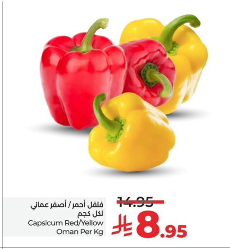 الخضروات الطازجة in لولو هايبرماركت, المملكة العربية السعودية Offers - المملكة العربية السعودية فلفل / فليفلة from Oman available at لولو هايبرماركت in مملكة العربية السعودية, السعودية, سعودية - حفر الباطن