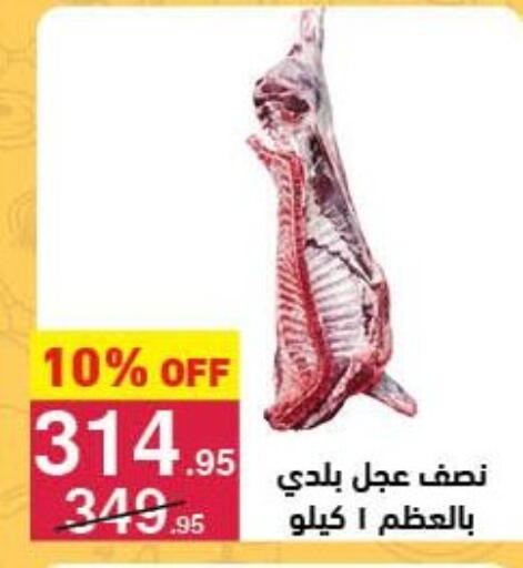available at محمود الفار in Egypt - القاهرة