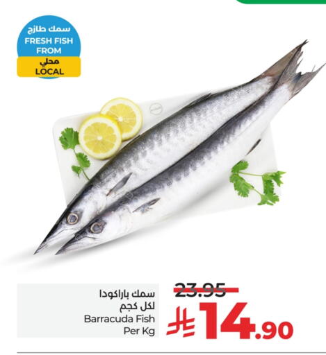 الأسماك الطازجة in لولو هايبرماركت, المملكة العربية السعودية Offers - المملكة العربية السعودية available at لولو هايبرماركت in مملكة العربية السعودية, السعودية, سعودية - حفر الباطن