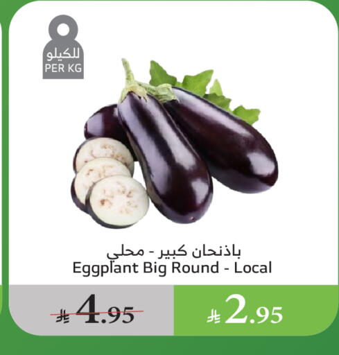 Eggplant available at الراية in مملكة العربية السعودية, السعودية, سعودية - القنفذة