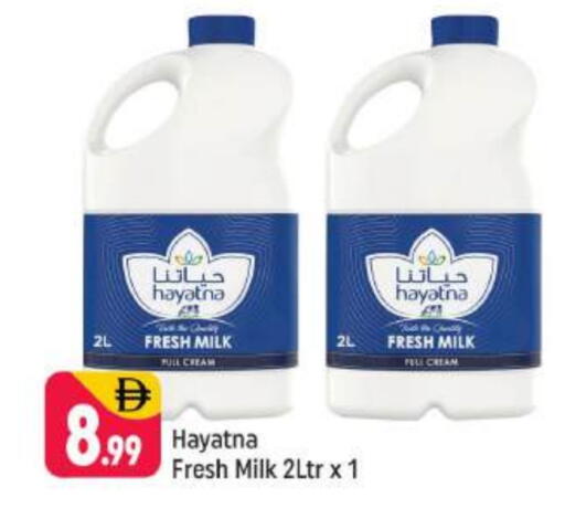 HAYATNA Fresh Milk available at Shaklan  in UAE - Dubai
