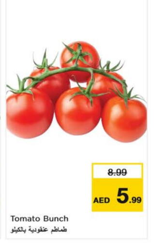 Tomato available at Nesto Hypermarket in UAE - Dubai