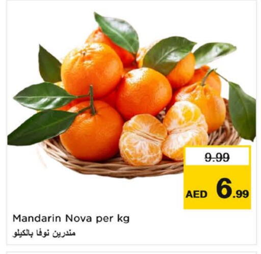 برتقال available at نستو هايبرماركت in الإمارات العربية المتحدة , الامارات - ٱلْفُجَيْرَة‎