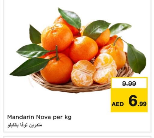 برتقال available at لاست تشانس in الإمارات العربية المتحدة , الامارات - ٱلْفُجَيْرَة‎