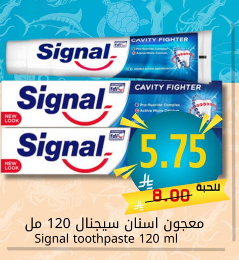 Dental Care in Joule Market, Saudi Arabia Offers - Saudi Arabia SIGNAL Toothpaste available at Joule Market in KSA, Saudi Arabia, Saudi - Dammam