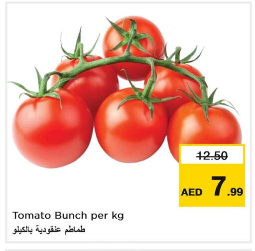 Tomato available at Nesto Hypermarket in UAE - Dubai
