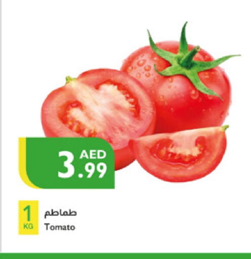 Tomato available at Istanbul Supermarket in UAE - Dubai