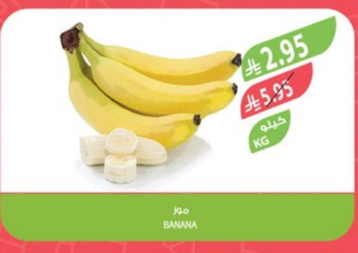 Banana available at Farm  in KSA, Saudi Arabia, Saudi - Dammam