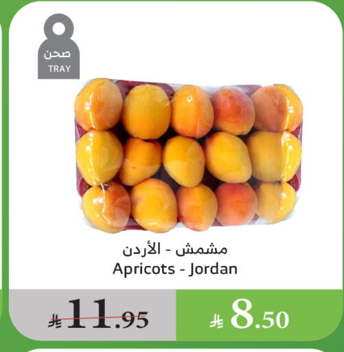 الفواكه المجففة و التمور in الراية, المملكة العربية السعودية Offers - المملكة العربية السعودية available at الراية in مملكة العربية السعودية, السعودية, سعودية - القنفذة