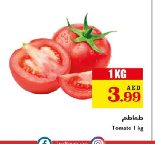 Tomato available at Trolleys Supermarket in UAE - Dubai