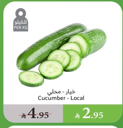 الخضروات الطازجة in الراية, المملكة العربية السعودية Offers - المملكة العربية السعودية خيار available at الراية in مملكة العربية السعودية, السعودية, سعودية - خميس مشيط