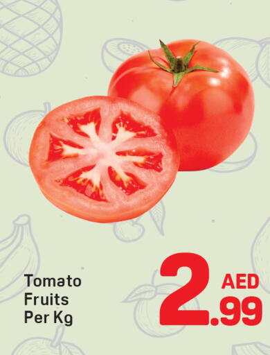 Tomato available at Day to Day Department Store in UAE - Dubai
