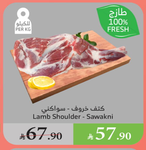اللحوم الطازجة والمبردة in الراية, المملكة العربية السعودية Offers - المملكة العربية السعودية لحم الضأن / الغنم available at الراية in مملكة العربية السعودية, السعودية, سعودية - القنفذة