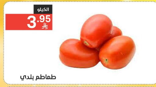 Tomato available at Noori Supermarket in KSA, Saudi Arabia, Saudi - Jeddah