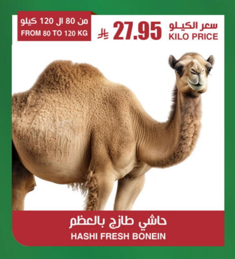 Camel meat available at Prime Supermarket in KSA, Saudi Arabia, Saudi - Rafha