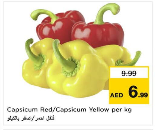 Chilli / Capsicum available at Nesto Hypermarket in UAE - Al Ain