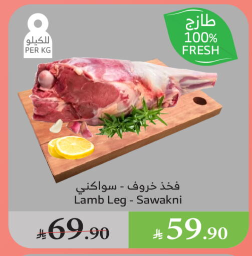 اللحوم الطازجة والمبردة in الراية, المملكة العربية السعودية Offers - المملكة العربية السعودية لحم الضأن / الغنم available at الراية in مملكة العربية السعودية, السعودية, سعودية - القنفذة