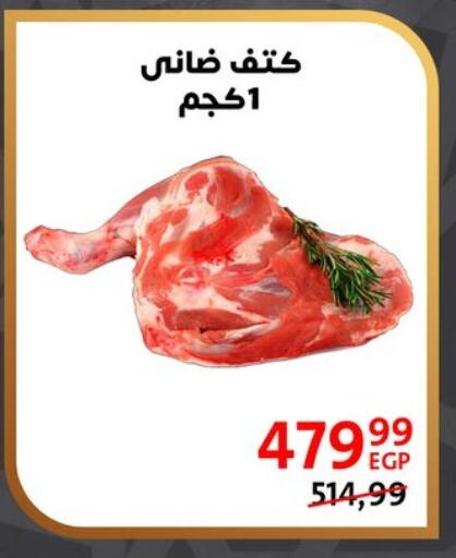 available at داون تاون العرب  in Egypt - القاهرة
