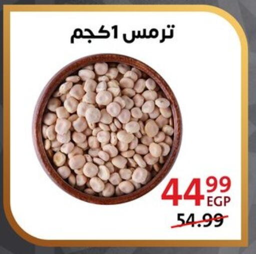 available at داون تاون العرب  in Egypt - القاهرة