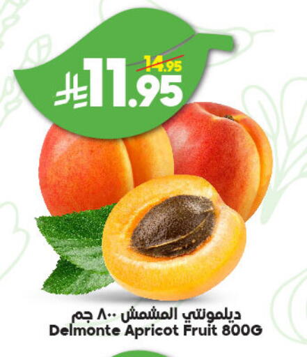 Apricot available at Dukan in KSA, Saudi Arabia, Saudi - Ta'if