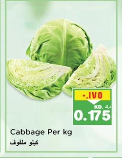 Cabbage available at Nesto Hypermarkets in Kuwait - Ahmadi Governorate