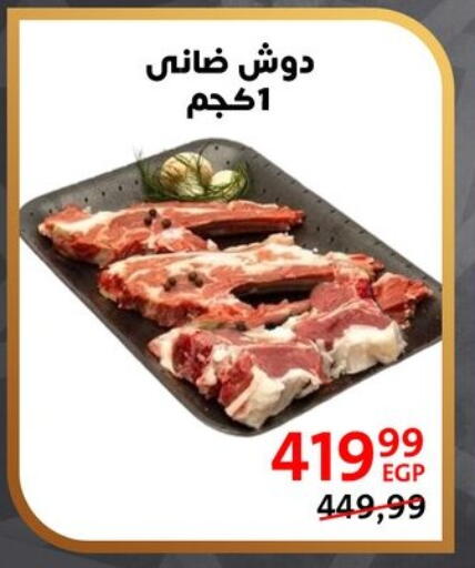 available at داون تاون العرب  in Egypt - القاهرة