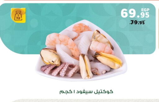 available at بنده in Egypt - القاهرة