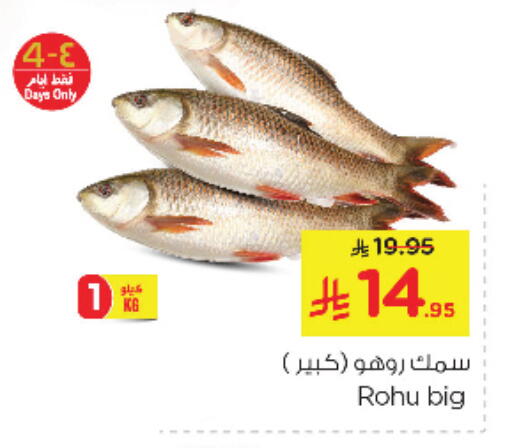 available at Nesto in KSA, Saudi Arabia, Saudi - Jubail