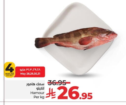الأسماك الطازجة in لولو هايبرماركت, المملكة العربية السعودية Offers - المملكة العربية السعودية available at لولو هايبرماركت in مملكة العربية السعودية, السعودية, سعودية - خميس مشيط
