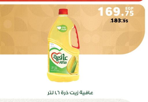 إندومي زيت الذرة available at بنده in Egypt - القاهرة