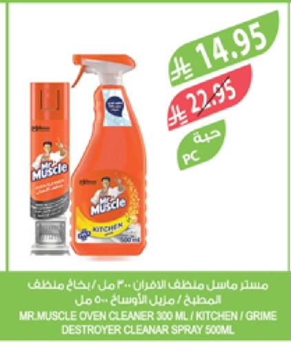 تنظيف in المزرعة, المملكة العربية السعودية Offers - المملكة العربية السعودية مستر ماسل منظف عام available at المزرعة in مملكة العربية السعودية, السعودية, سعودية - تبوك