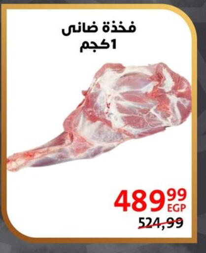 available at داون تاون العرب  in Egypt - القاهرة