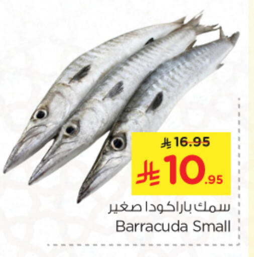 available at Nesto in KSA, Saudi Arabia, Saudi - Riyadh