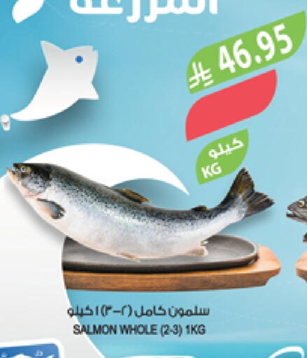 الأسماك الطازجة in المزرعة, المملكة العربية السعودية Offers - المملكة العربية السعودية available at المزرعة in مملكة العربية السعودية, السعودية, سعودية - عرعر
