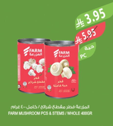 Mushroom available at المزرعة in مملكة العربية السعودية, السعودية, سعودية - تبوك