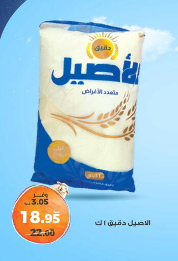 available at Kazyon  in Egypt - Cairo
