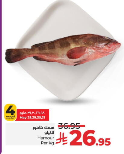 الأسماك الطازجة in لولو هايبرماركت, المملكة العربية السعودية Offers - المملكة العربية السعودية available at لولو هايبرماركت in مملكة العربية السعودية, السعودية, سعودية - خميس مشيط