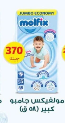 MOLFIX available at Mekkawy market  in Egypt - Cairo