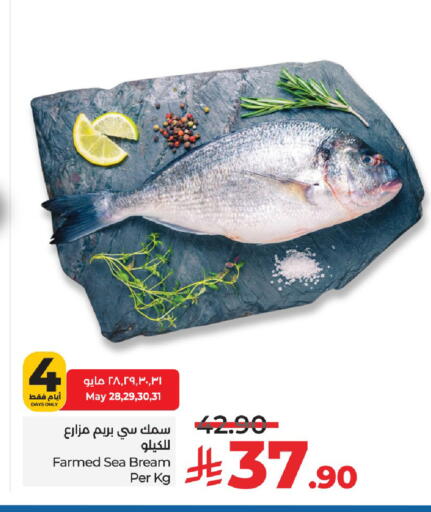 available at LULU Hypermarket in KSA, Saudi Arabia, Saudi - Hail