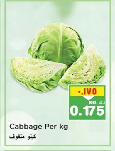 Cabbage available at Nesto Hypermarkets in Kuwait - Ahmadi Governorate