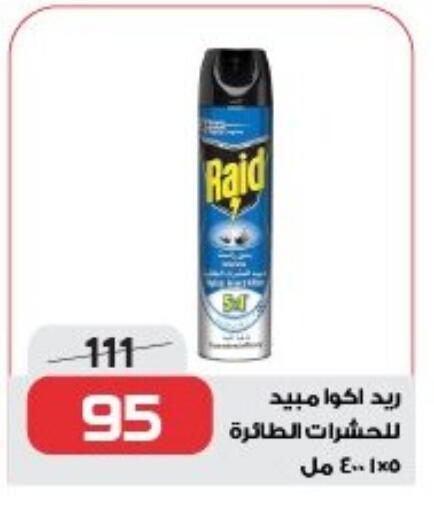 Insect Repellent in Zahran Market, Egypt Offers - Egypt RAID available at Zahran Market in Egypt - Cairo