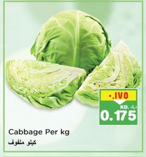 Cabbage available at Nesto Hypermarkets in Kuwait - Ahmadi Governorate