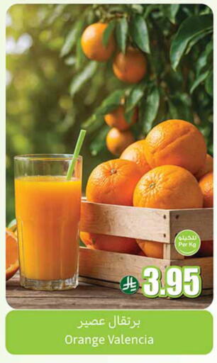 Orange available at Othaim Markets in KSA, Saudi Arabia, Saudi - Najran
