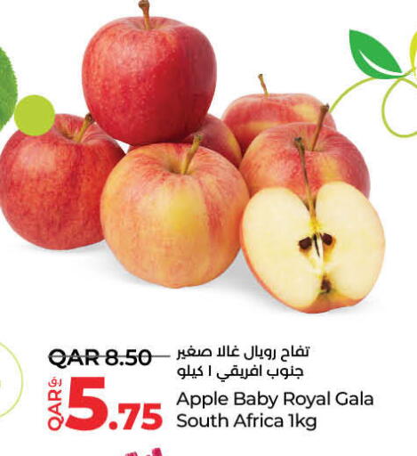 Apples from South Africa available at LuLu Hypermarket in Qatar - Al Wakra
