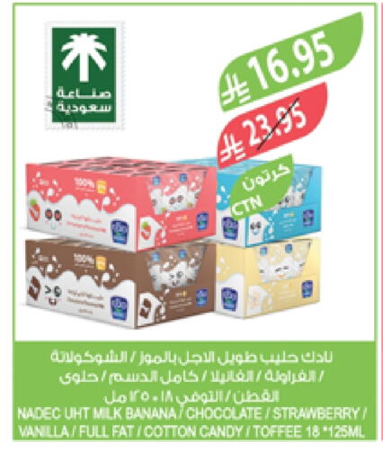 حليب و لبن in المزرعة, المملكة العربية السعودية Offers - المملكة العربية السعودية نادك حليب بنكهات available at المزرعة in مملكة العربية السعودية, السعودية, سعودية - جازان