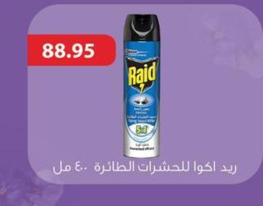 RAID available at Panda  in Egypt - Cairo